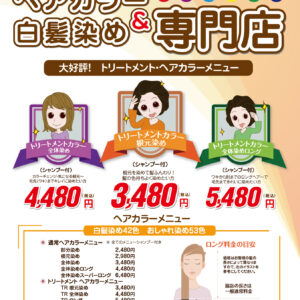 新メニュー告知用ポスター　